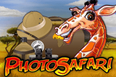 Photo Safari เกมสล็อต PG SLOT