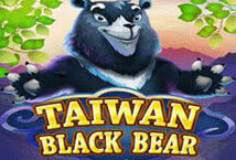Taiwan-Black-Bear-ka-gaming-สล็อต-PG-PG-SLOT