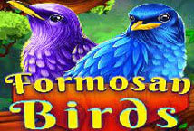 Formosan-Birds-ค่าย-Ka-gaming-ทางเข้า-PG-PG-SLOT